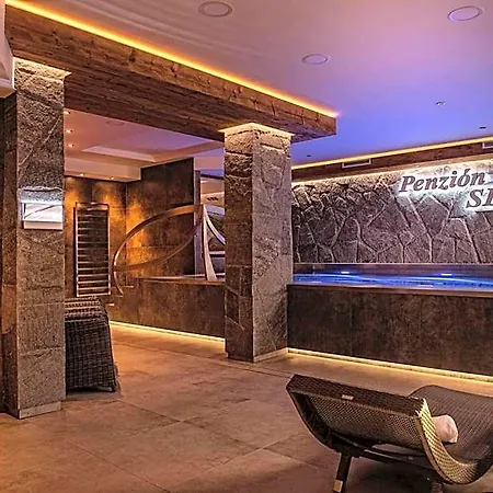 Wellness Viktoria Lejlighed Ždiar